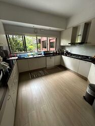 Nassim Mansion (D10), Apartment #546526721